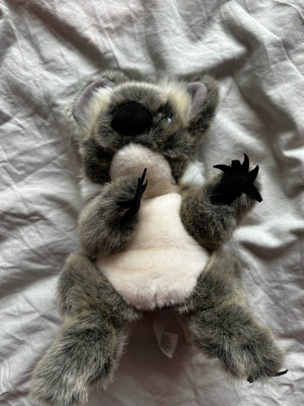 Folkmanis Koala Hand Puppet Plush Grey Realistic Animal